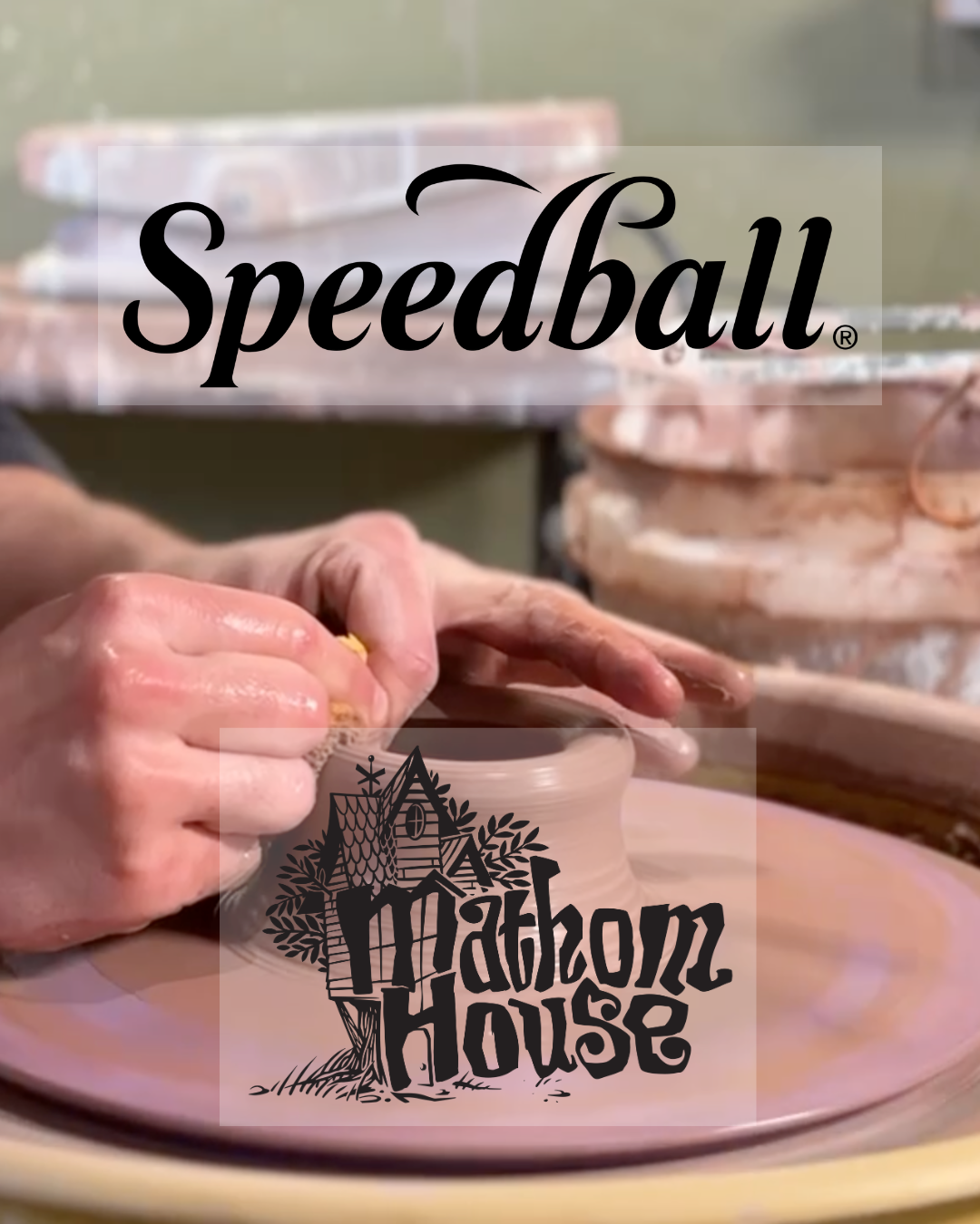Big News From the Treehouse